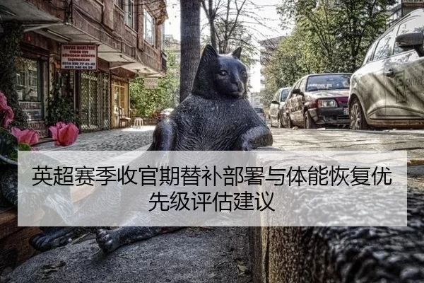 ying-chao-sai-ji-shou-guan-qi-ti-bu-bu-shu-yu-ti-neng-hui-fu-you-xian-ji-ping-gu-jian-yi-2-558.jpg